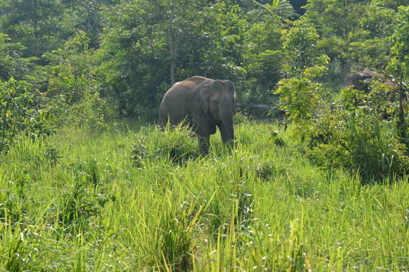 Trip to Kui Buri National Park 2