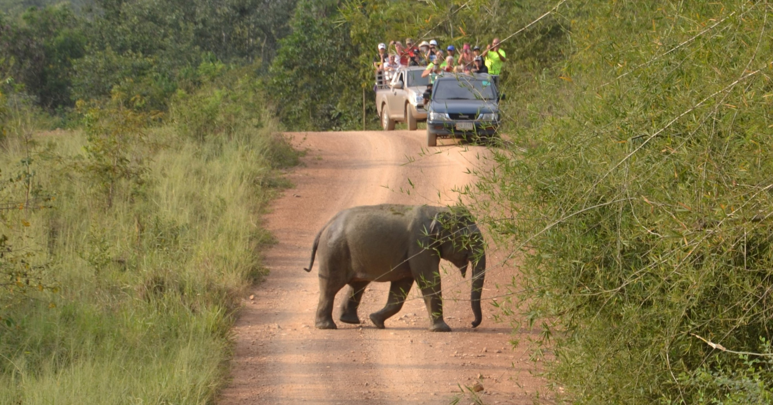 Kui Buri National Park Day Tour