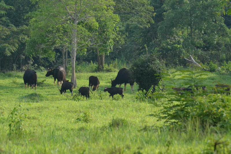 Trip to Kui Buri National Park 3