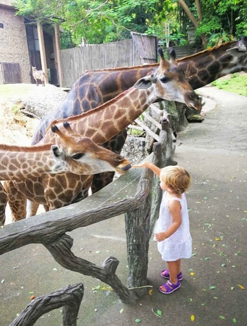 Khao Kheow Zoo 4