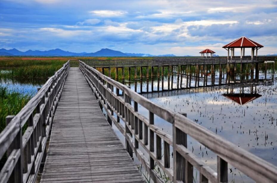 Thung Sam Roi Yot Freshwater Marsh
