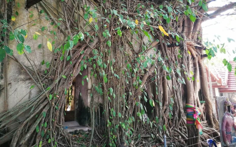 Wat Bang Kung