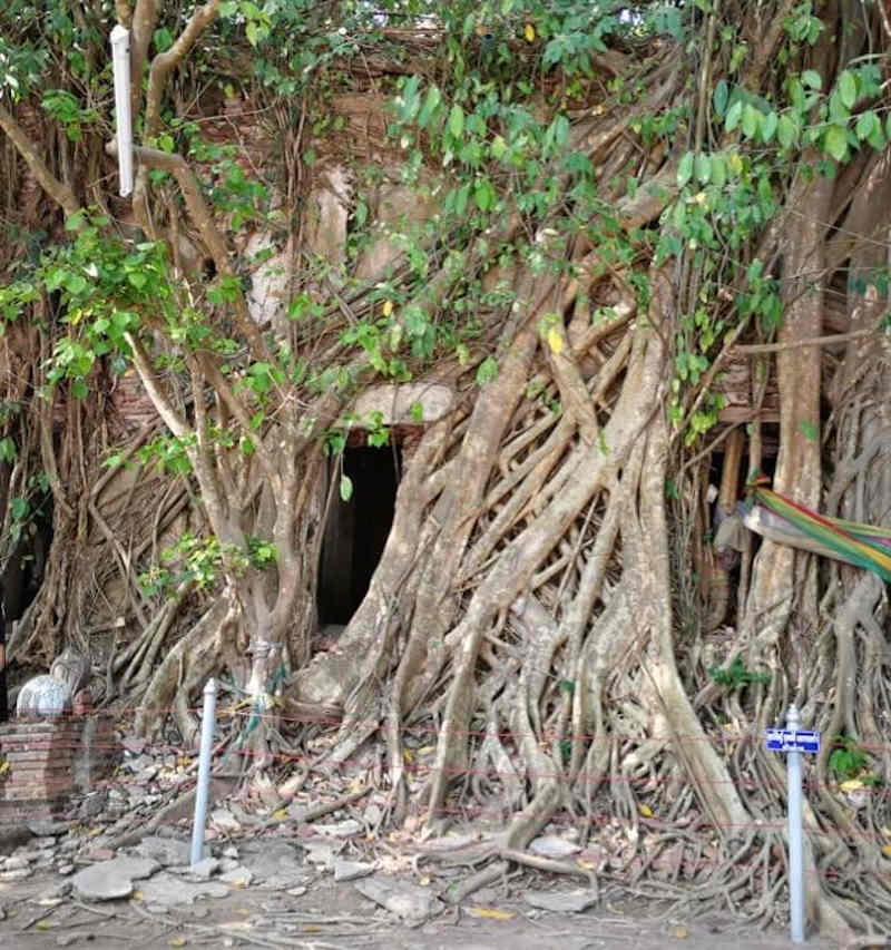 Wat Bang Kung 2